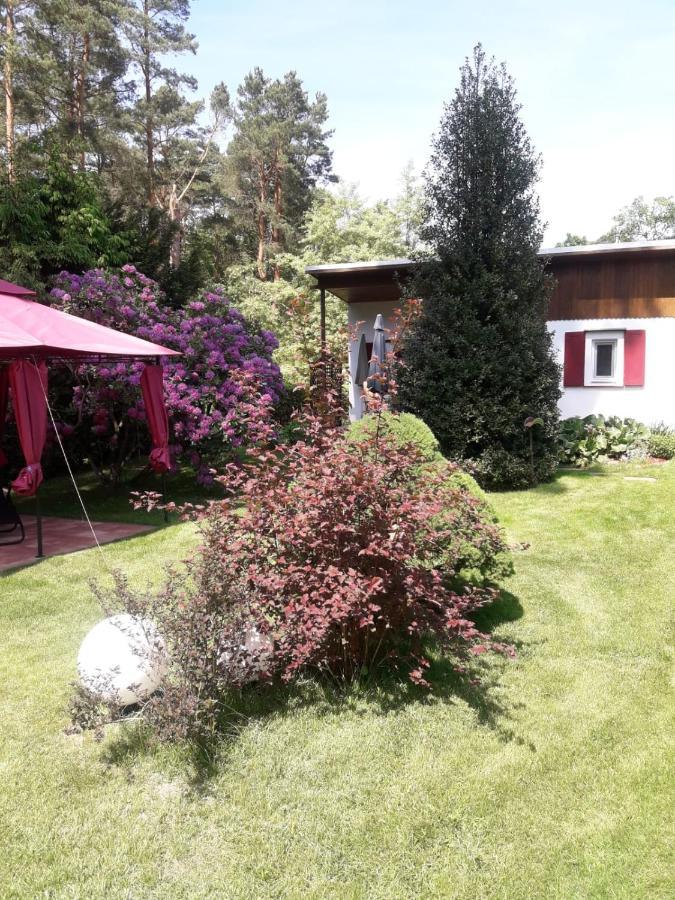 Ferienhaus Am Langen See Heidesee المظهر الخارجي الصورة